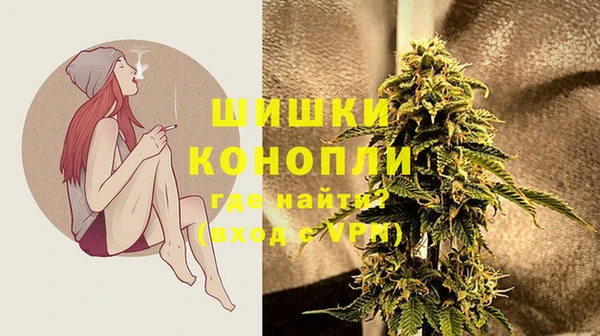 твердый Богородск