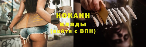 соль ск Богородицк
