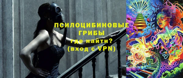 тгк Богданович