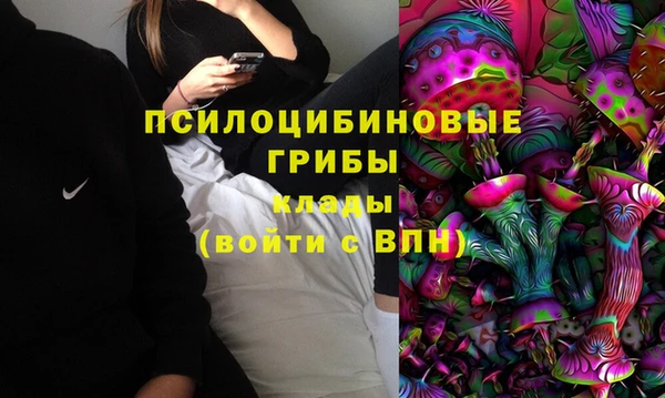 твердый Богородск