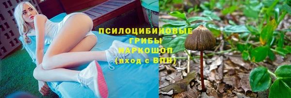 твердый Богородск