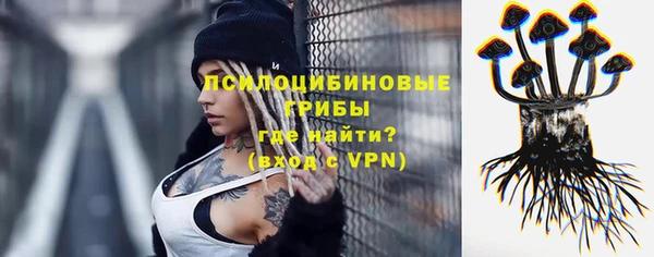 твердый Богородск