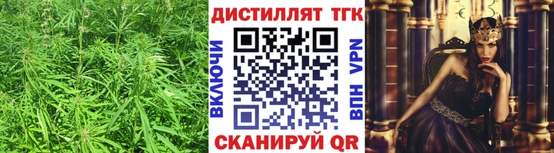 ТГК концентрат  Купить  Питкяранта 